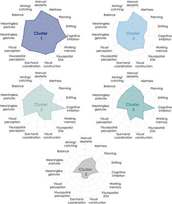 Cognitive, perceptual, and motor profiles of school-aged children with developmental coordination disorder